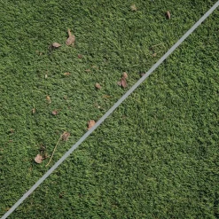 Brush SOFT (wood, artificial grass)