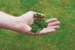 GE-CM 36/43 Li M (2x4,0Ah)